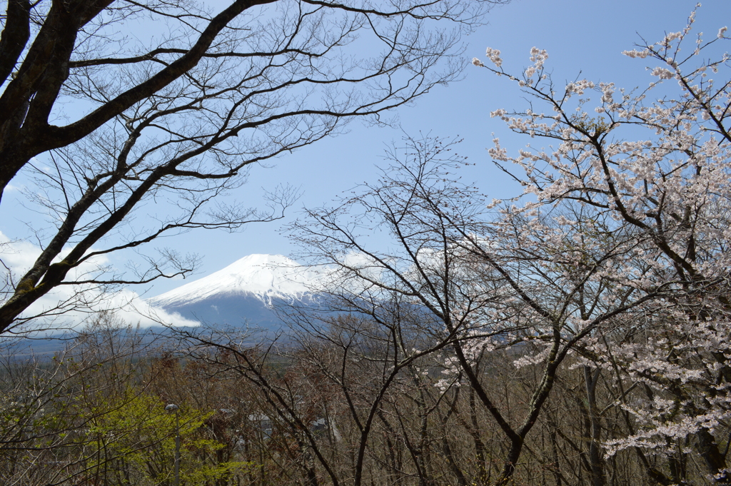 ホテルマウント富士 山梨県南都留郡山中湖村山中