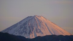 富士山 フルーツ公園 山梨市 山梨県 DSC07393
