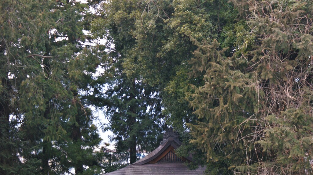 天神社 塩山千野 甲州市 山梨県 DSC07815