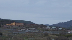 山梨県笛吹川フルーツ公園 山梨市 山梨県