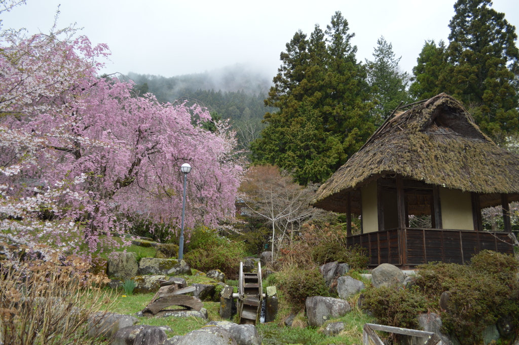 乾徳公園 秩父多摩甲斐国立公園 山梨市三富徳和 山梨県