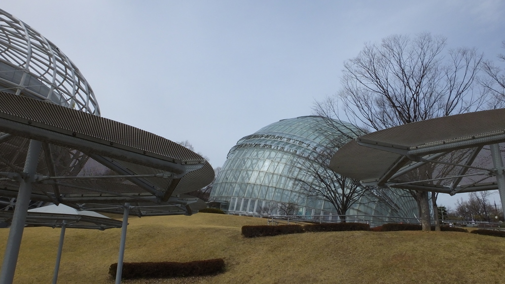 山梨県笛吹川フルーツ公園 山梨市 山梨県