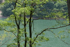 広瀬湖　雁坂トンネル　山梨県　山梨市