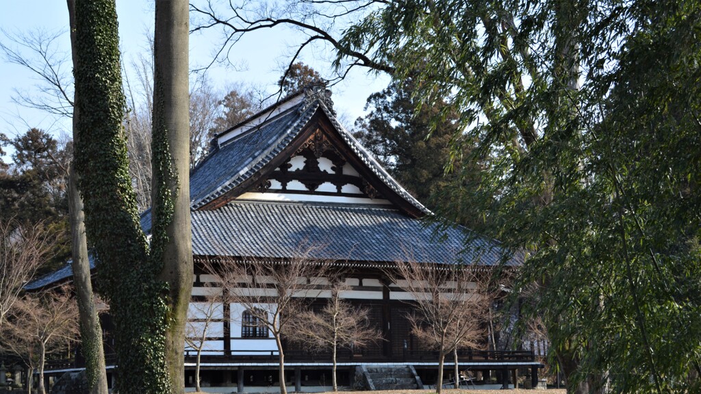 立正寺 勝沼町休息 甲州市 山梨県 DSC_0030