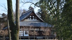 立正寺 勝沼町休息 甲州市 山梨県 DSC_0030