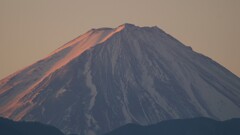 富士山 フルーツ公園 山梨市 山梨県 DSC08268