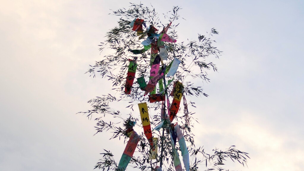 徳和 道祖神祭り どんどん焼き 山梨市 山梨県 DSC_0919