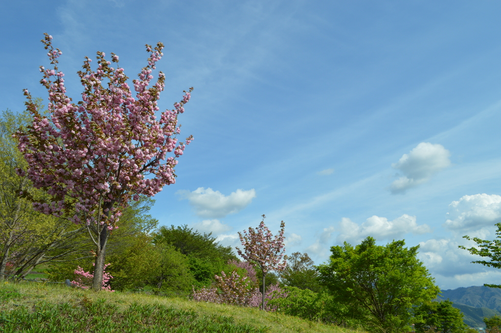 塩山ふれあいの森総合公園 甲州市 山梨県