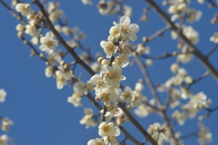 乾徳山登山口バス停 秩父多摩甲斐国立公園 山梨市 山梨市