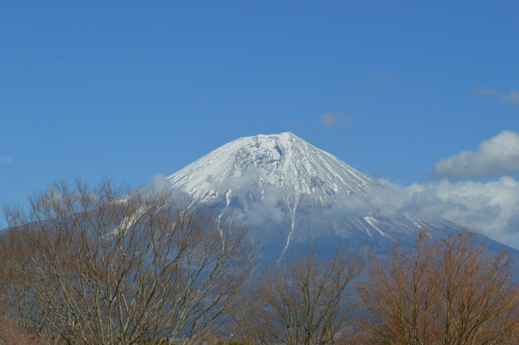 田貫湖 富士宮市 静岡県