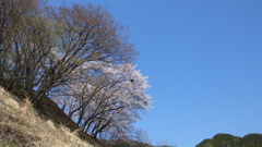 牧丘町窪平 秩父多摩甲斐国立公園 山梨市 山梨県