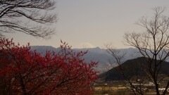 富士山 塩山ふれあいの森総合公園 甲州市 山梨県 DSC05013