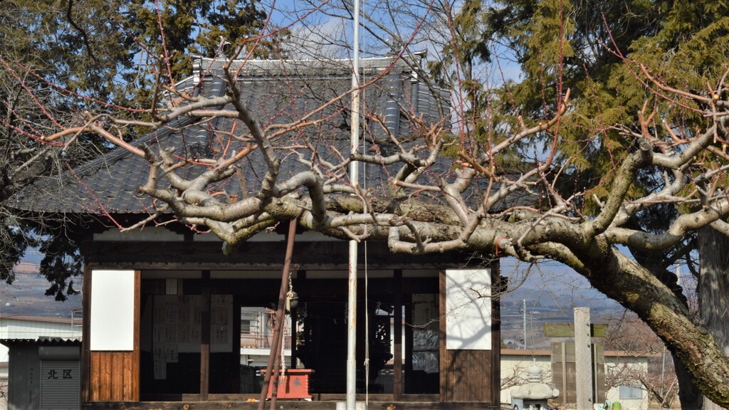 表門神社 春日居町 笛吹市 山梨県 DSC_0049