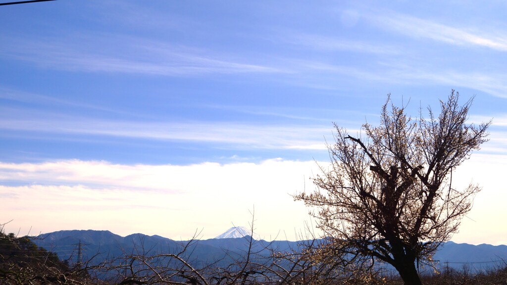 富士山 藤木 甲州市 山梨県 DSC04392