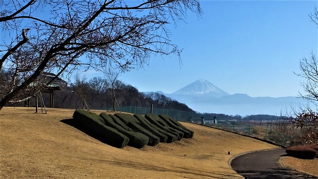 富士山 双葉水辺公園 甲斐市 山梨県 DSCF3057