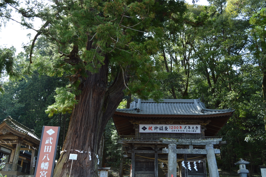武田八幡宮 韮崎市神山町 山梨県