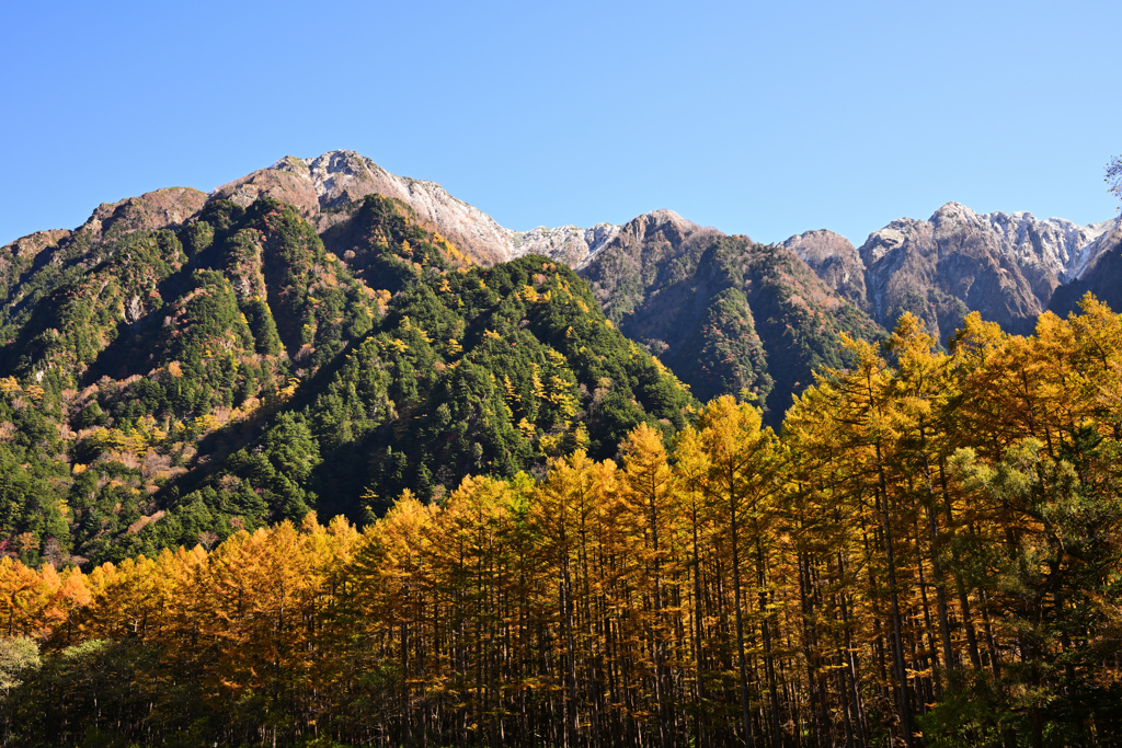 上高地　紅葉