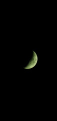 A7300978_resized