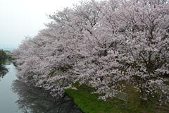 徳島市の千鳥ヶ淵？