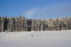 雪の中の散歩