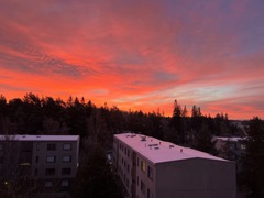 朱色の空