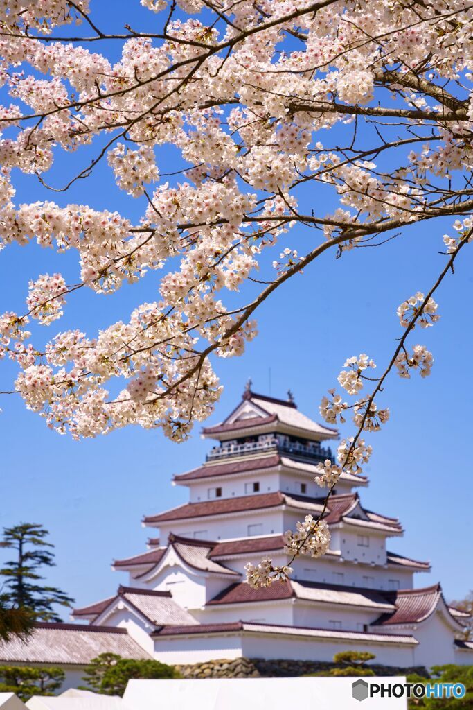 鶴ヶ城