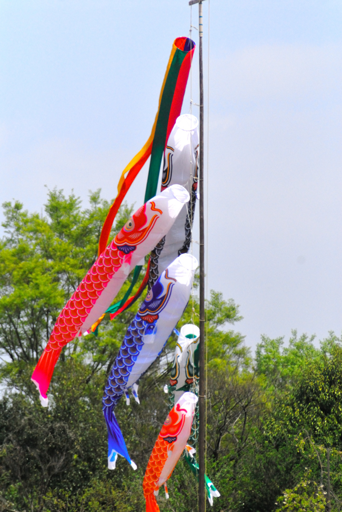 国営昭和記念公園