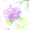 やりすぎ＾＾；。