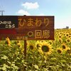 ひまわり回廊。