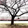 待ち遠しい。