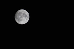 14.1夜の月が昇る。
