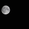 14.1夜の月が昇る。