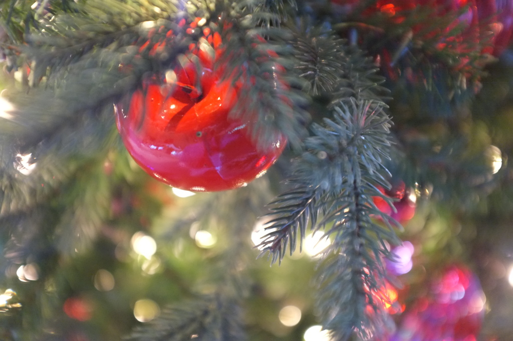 真っ赤なりんごを。