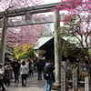 集う。