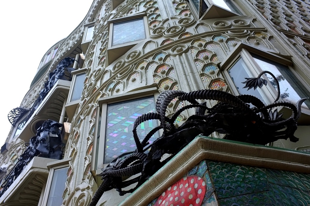 ドラード和世陀。