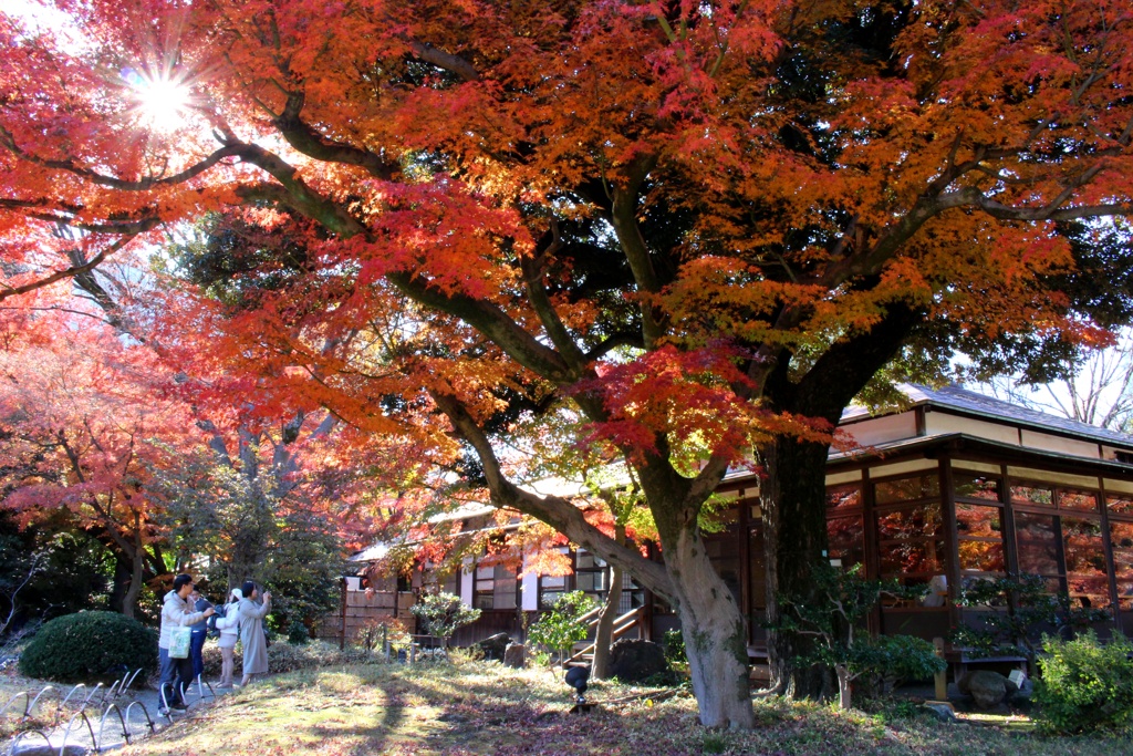 小石川後楽園 涵徳亭。