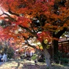 小石川後楽園 涵徳亭。