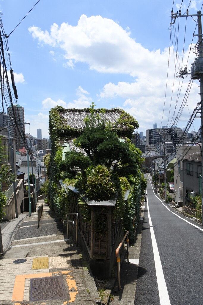 富士見坂と日無坂の間に建つ、角地の建物が好き。