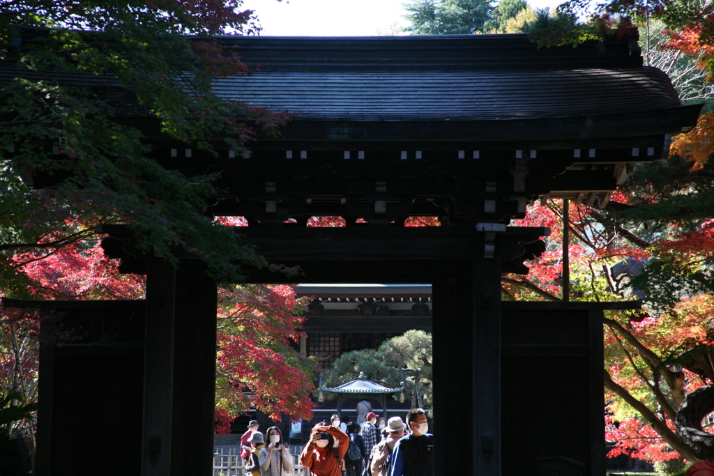 東漸寺 中雀門。