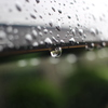 梅雨。