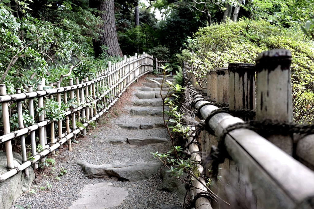 竹垣。