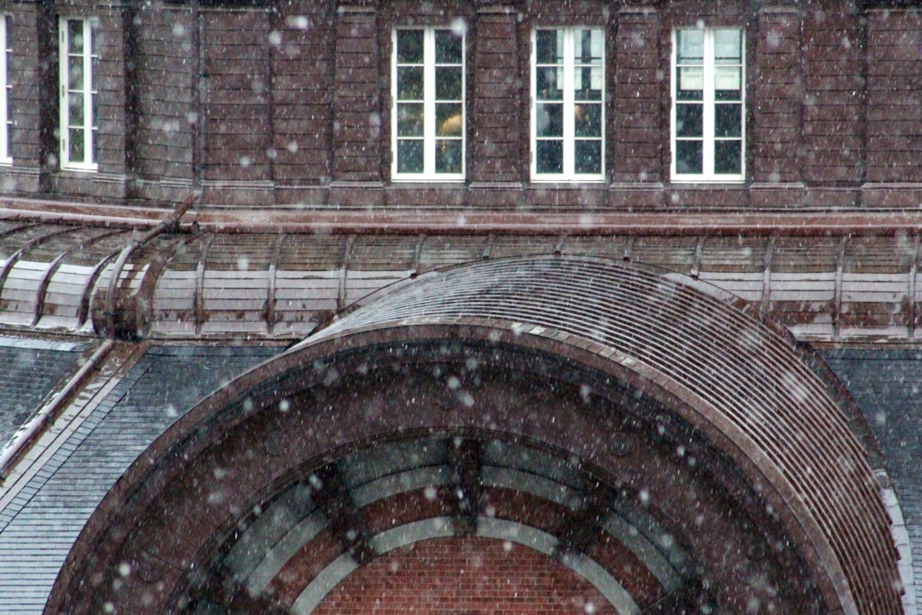 雪が降る。