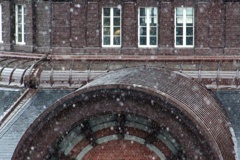 雪が降る。