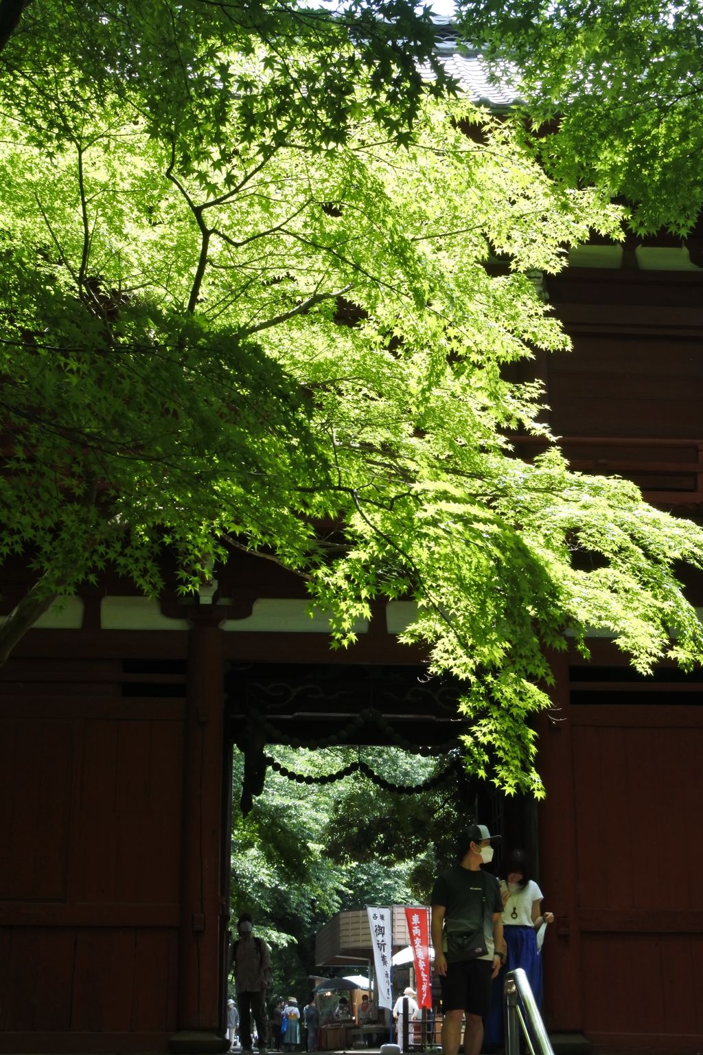 本土寺 仁王門。