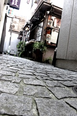 神楽坂で猫を探す。