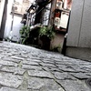 神楽坂で猫を探す。