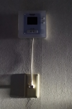 未だ誰も来ぬ早朝。