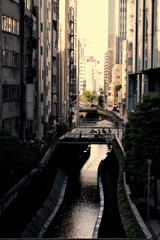ビルの狭間 渋谷川。