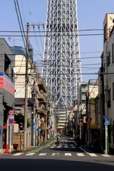 小梅牛島通り。