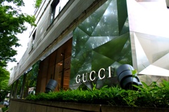 GUCCI。